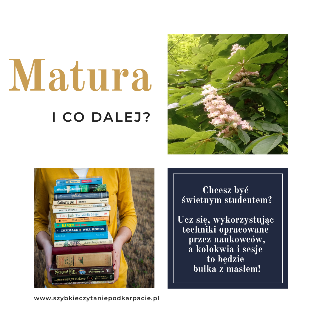 Matura_EDU